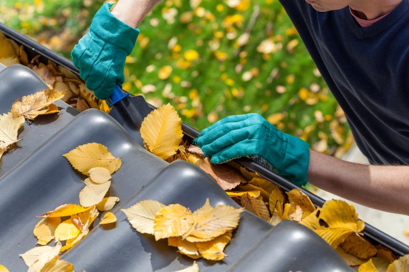 Gutter Maintenance in Spring